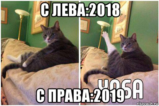 с лева:2018 с права:2019, Комикс Кот Хоба