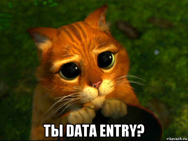  ты data entry?, Мем кот из шрека