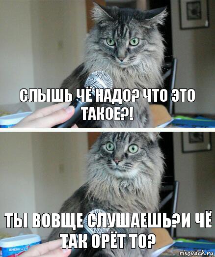 слышь чё надо? что это такое?! ты вовще слушаешь?и чё так орёт то?, Комикс  кот с микрофоном