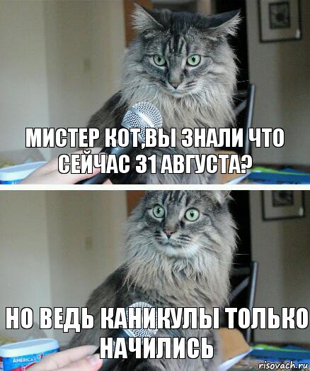 Мистер кот,вы знали что сейчас 31 августа? Но ведь каникулы только начились