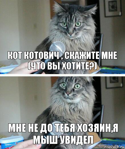 Кот котович , скажите мне (что вы хотите?) Мне не до тебя хозяин,я мыш увидел, Комикс  кот с микрофоном