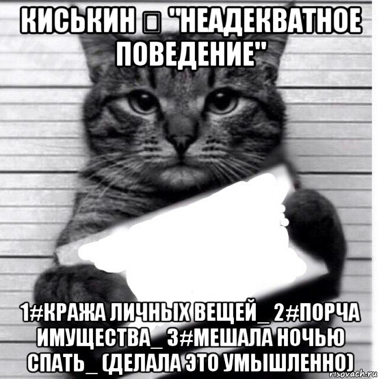 киськин ✋ "неадекватное поведение" 1#кража личных вещей_ 2#порча имущества_ 3#мешала ночью спать_ (делала это умышленно), Мем Кот с табличкой