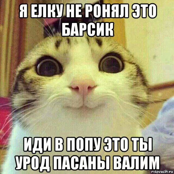 я елку не ронял это барсик иди в попу это ты урод пасаны валим, Мем       Котяка-улыбака