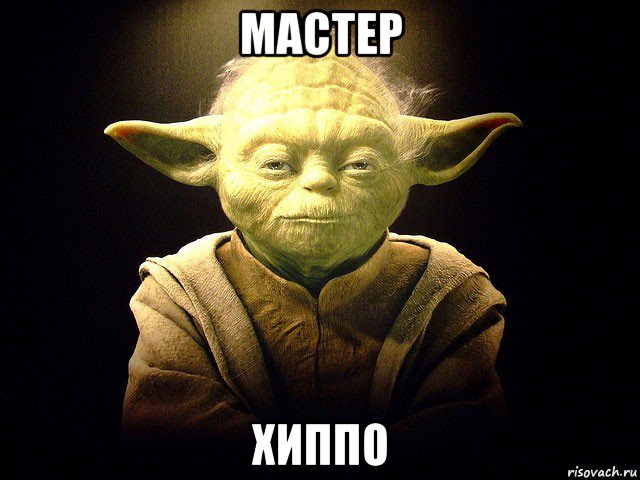 мастер хиппо, Мем  мастер йода