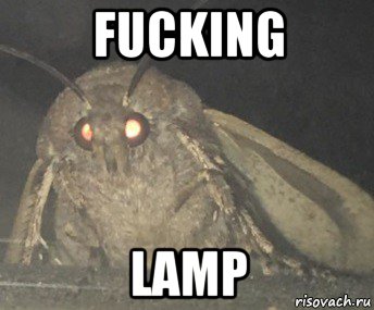 fucking lamp, Мем Матылёк