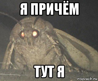 я причём тут я, Мем Матылёк