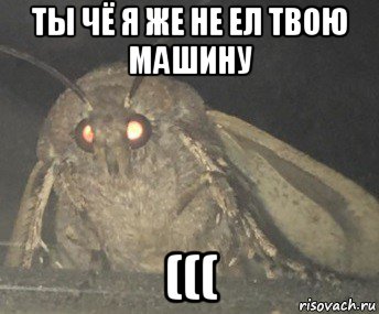 ты чё я же не ел твою машину (((, Мем Матылёк