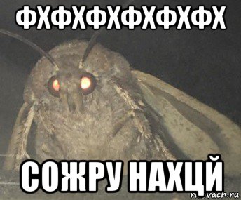 фхфхфхфхфхфх сожру нахцй, Мем Матылёк