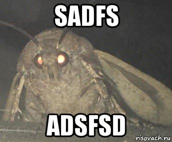 sadfs adsfsd, Мем Матылёк