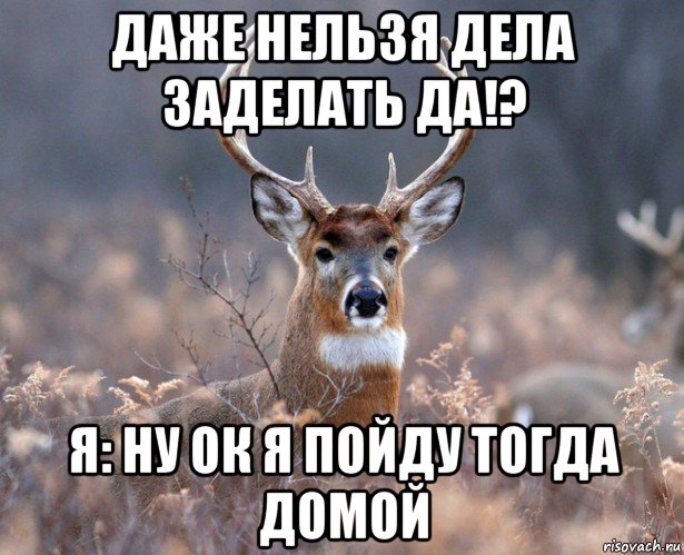 даже нельзя дела заделать да!? я: ну ок я пойду тогда домой, Мем   Наивный олень