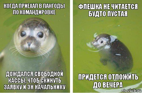 Когда приехал в Пангоды по командировке Флешка не читается будто пустая Придется отложить до вечера Дождался свободной кассы, чтоб скинуть заявку и ЗН начальнику