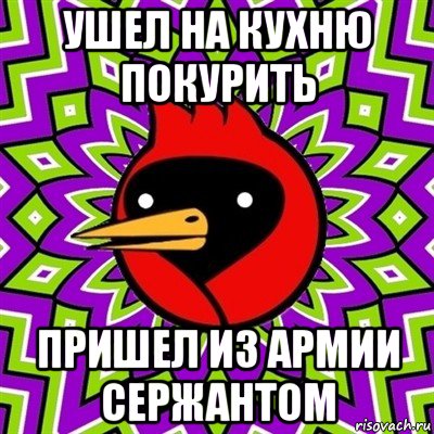 ушел на кухню покурить пришел из армии сержантом, Мем Омская птица