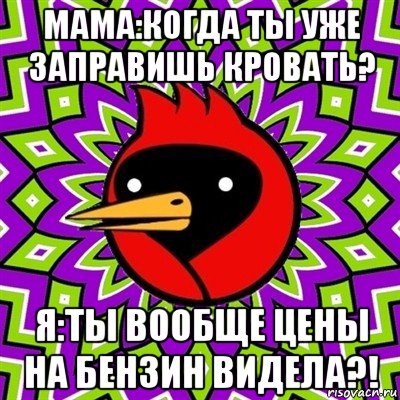 мама:когда ты уже заправишь кровать? я:ты вообще цены на бензин видела?!, Мем Омская птица