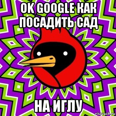 ok google как посадить сад на иглу