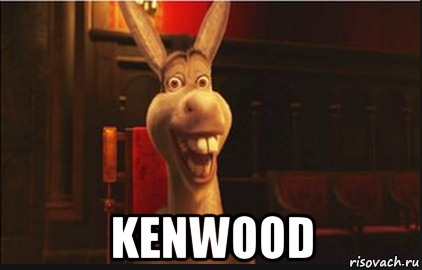  kenwood, Мем Осел из Шрека