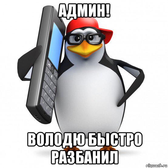 админ! володю быстро разбанил, Мем   Пингвин звонит