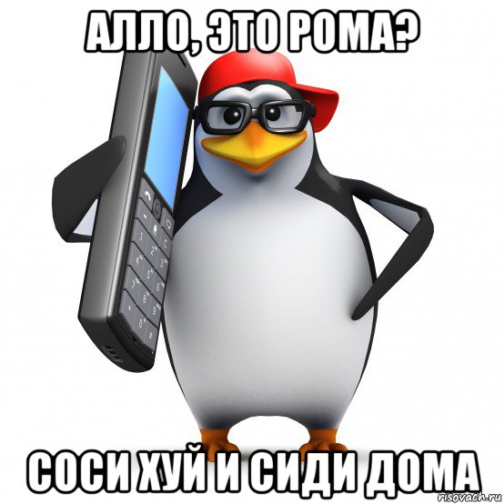 алло, это рома? соси хуй и сиди дома, Мем   Пингвин звонит