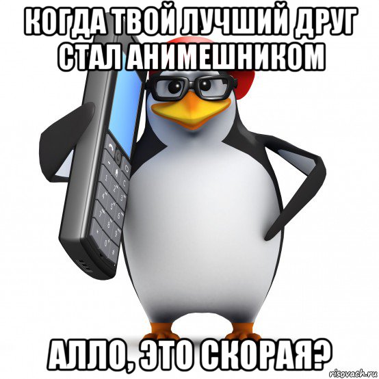 когда твой лучший друг стал анимешником алло, это скорая?, Мем   Пингвин звонит