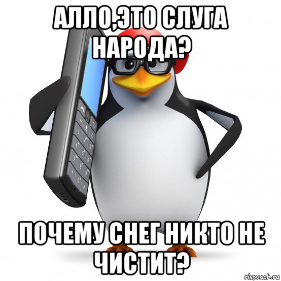 алло,это слуга народа? почему снег никто не чистит?, Мем   Пингвин звонит