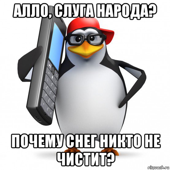 алло, слуга народа? почему снег никто не чистит?, Мем   Пингвин звонит