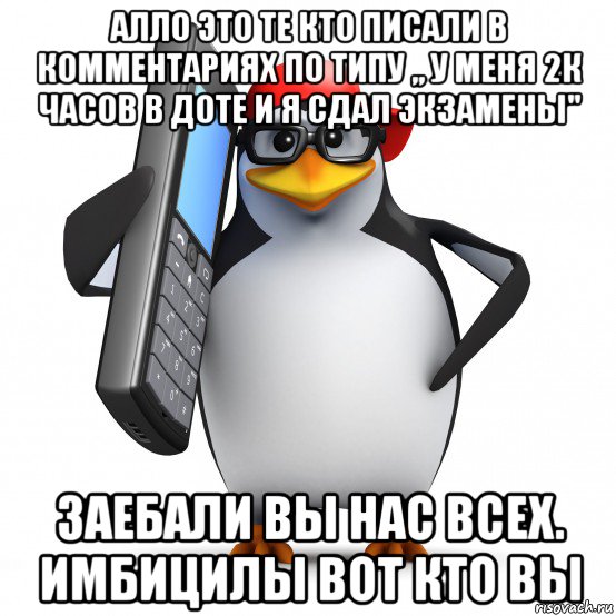 алло это те кто писали в комментариях по типу ,, у меня 2к часов в доте и я сдал экзамены" заебали вы нас всех. имбицилы вот кто вы, Мем   Пингвин звонит