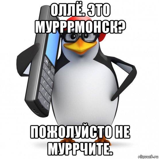 оллё. это мурррмонск? пожолуйсто не муррчите., Мем   Пингвин звонит