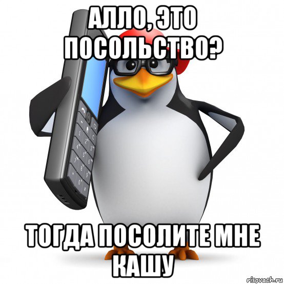 алло, это посольство? тогда посолите мне кашу, Мем   Пингвин звонит