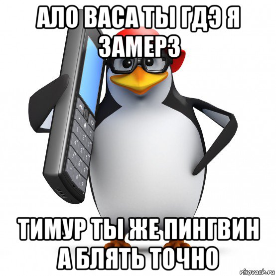 ало васа ты гдэ я замерз тимур ты же пингвин а блять точно, Мем   Пингвин звонит