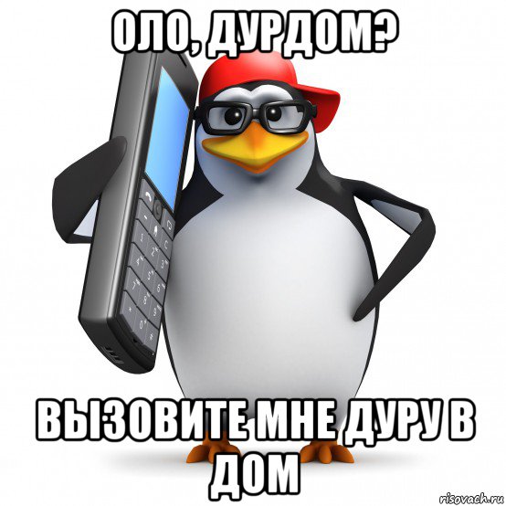 оло, дурдом? вызовите мне дуру в дом, Мем   Пингвин звонит