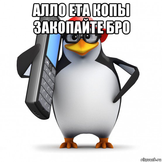 алло ета копы закопайте бро , Мем   Пингвин звонит