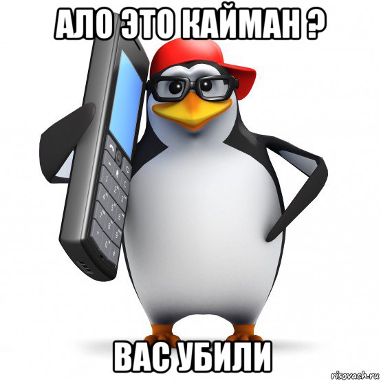 ало это кайман ? вас убили, Мем   Пингвин звонит