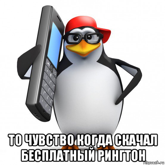  то чувство когда скачал бесплатный рингтон, Мем   Пингвин звонит