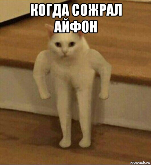 когда сожрал айфон 