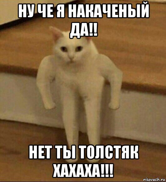 ну че я накаченый да!! нет ты толстяк хахаха!!!, Мем  Полукот