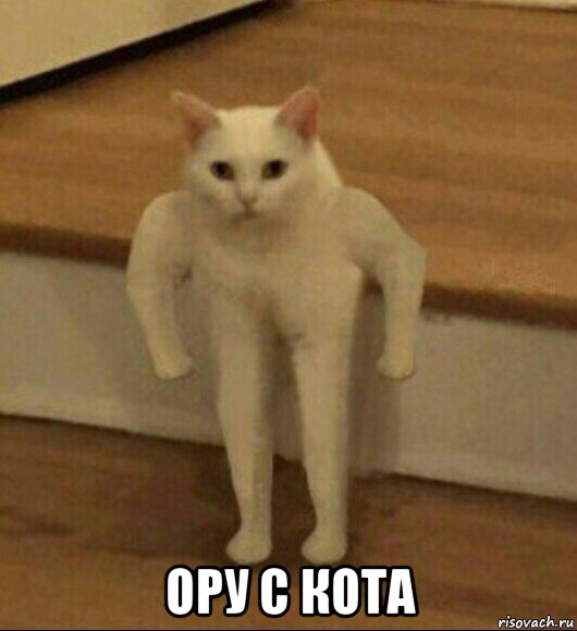  ору с кота, Мем  Полукот