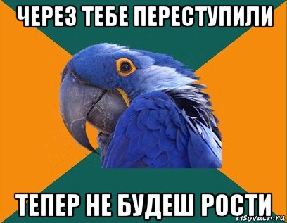 через тебе переступили тепер не будеш рости, Мем Попугай параноик