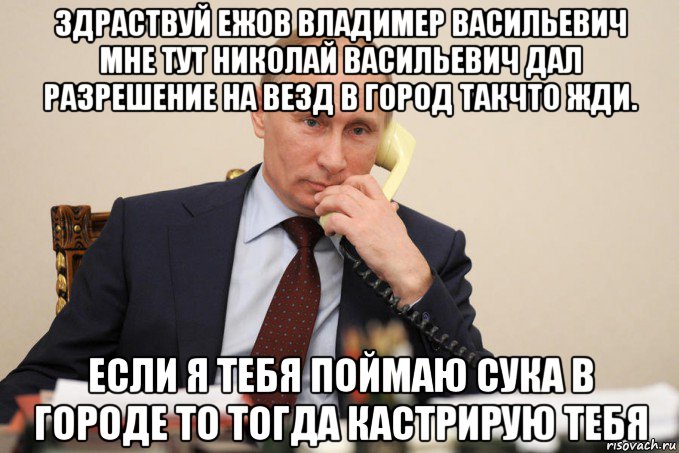 здраствуй ежов владимер васильевич мне тут николай васильевич дал разрешение на везд в город такчто жди. если я тебя поймаю сука в городе то тогда кастрирую тебя, Мем Путин у телефона