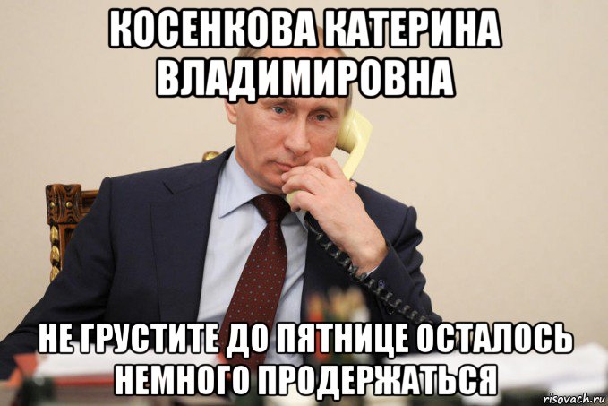 косенкова катерина владимировна не грустите до пятнице осталось немного продержаться, Мем Путин у телефона