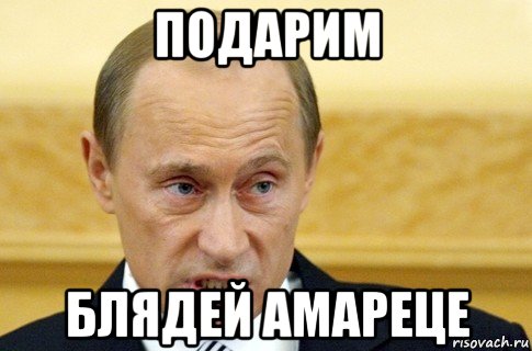 подарим блядей амареце, Мем путин