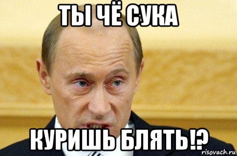 ты чё сука куришь блять!?, Мем путин