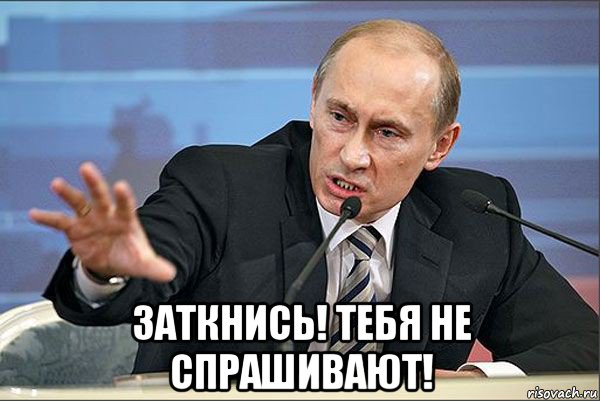  заткнись! тебя не спрашивают!, Мем Путин