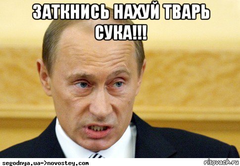 заткнись нахуй тварь сука!!! , Мем  Путин