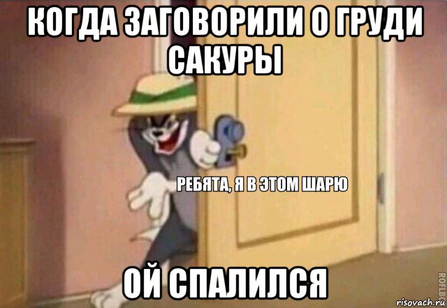 когда заговорили о груди сакуры ой спалился, Мем    Ребята я в этом шарю