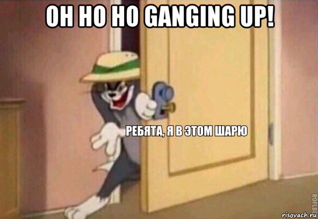 oh ho ho ganging up! , Мем    Ребята я в этом шарю