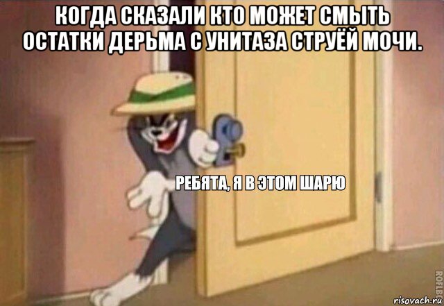 когда сказали кто может смыть остатки дерьма с унитаза струёй мочи. , Мем    Ребята я в этом шарю