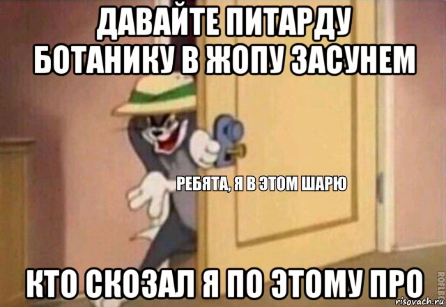 давайте питарду ботанику в жопу засунем кто скозал я по этому про, Мем    Ребята я в этом шарю