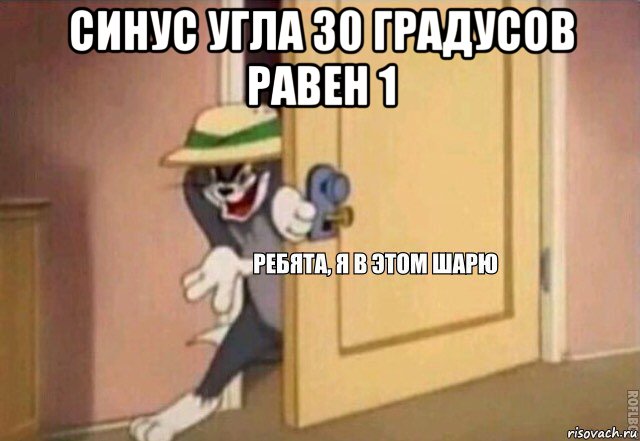 синус угла 30 градусов равен 1 , Мем    Ребята я в этом шарю