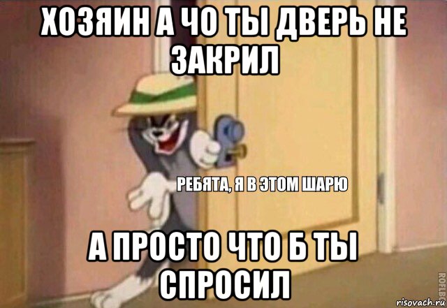 хозяин а чо ты дверь не закрил а просто что б ты спросил, Мем    Ребята я в этом шарю