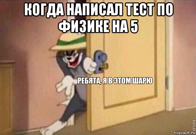 когда написал тест по физике на 5 , Мем    Ребята я в этом шарю