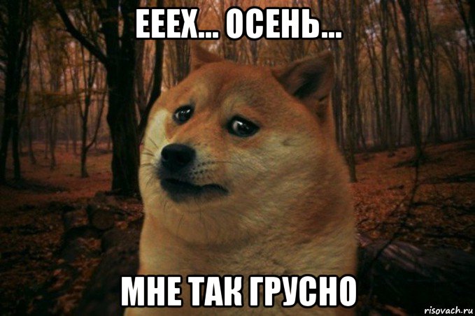 ееех... осень... мне так грусно